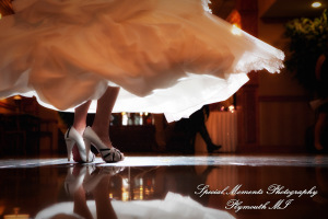 Sarah & Justin at Holiday Inn Express & Suites Southgate MI wedding photography