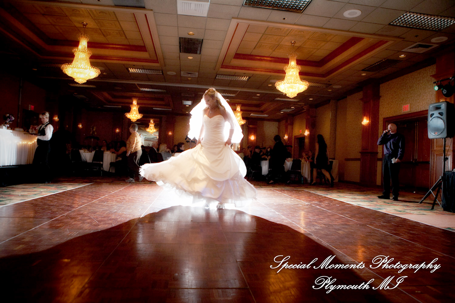 Sarah & Justin at Holiday Inn Express & Suites Southgate MI wedding photography
