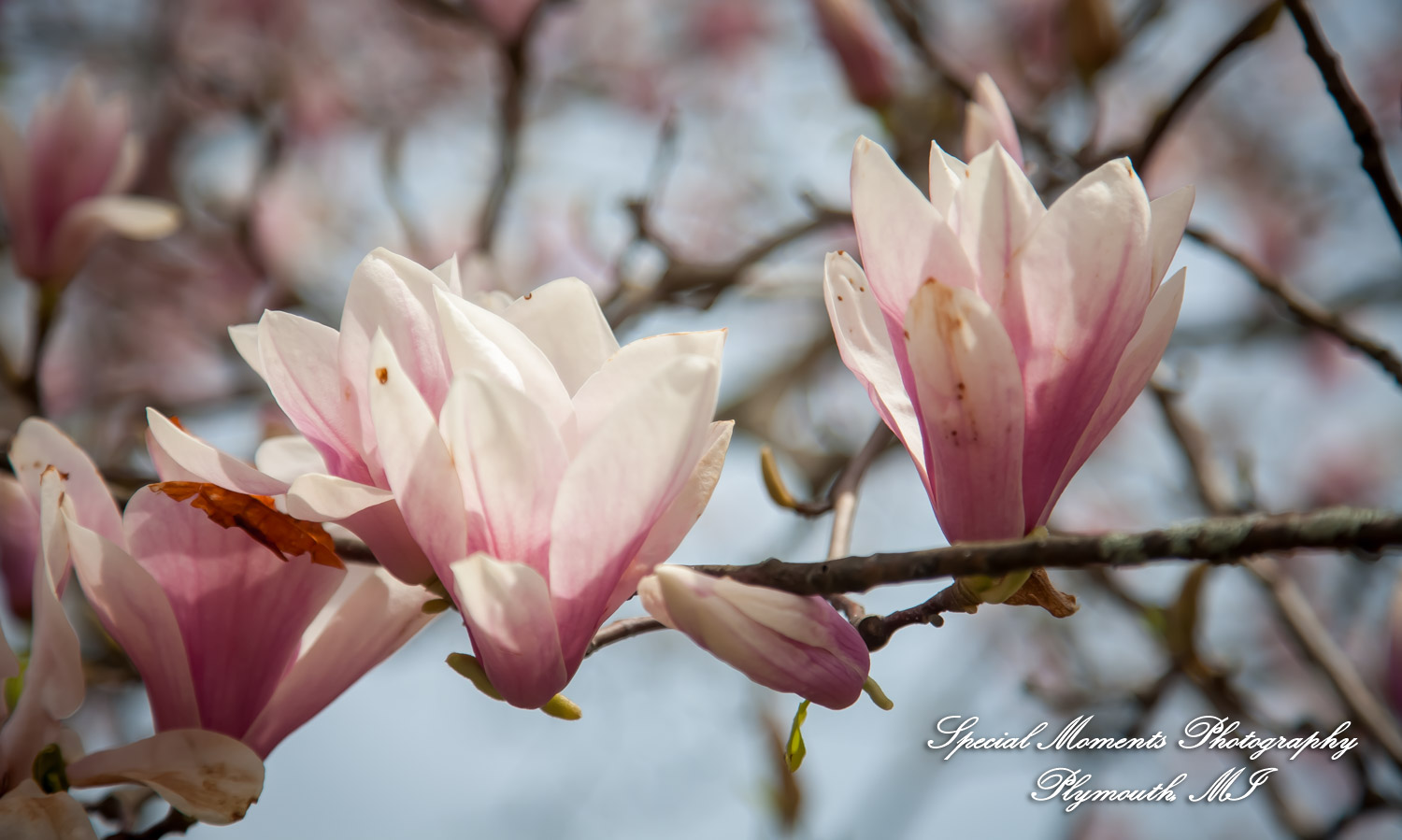 Sarah & John at St. Stephens Episcopal Wyandotte MI wedding photograph