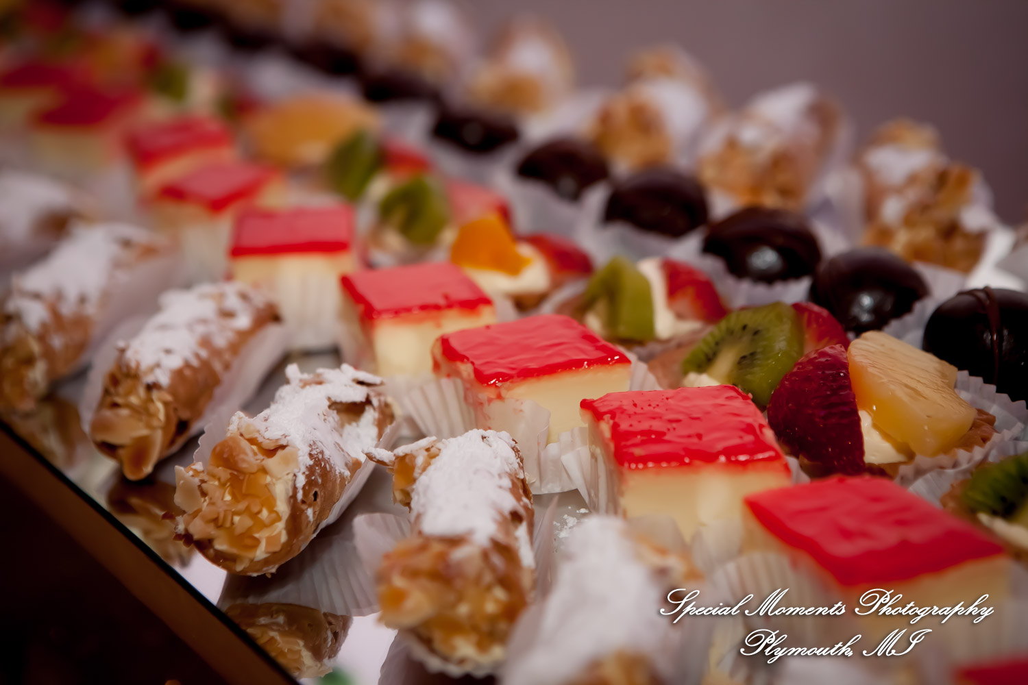 Sarah & John at Arnaldo's Banquet Center Riverview MI wedding photograph