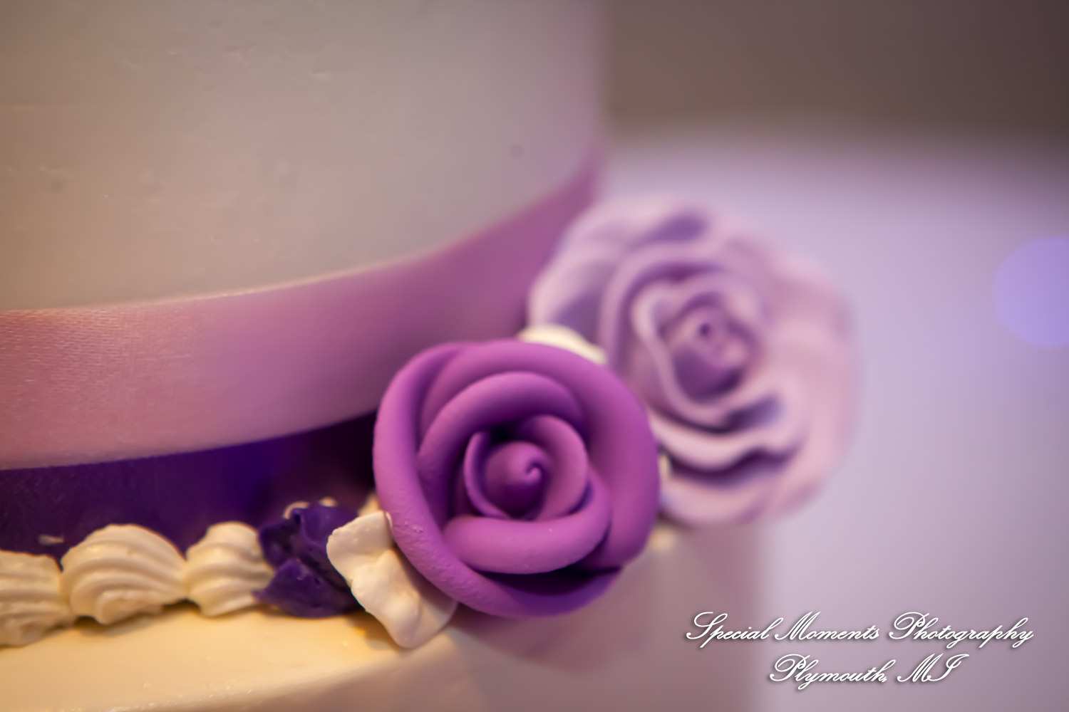 Sarah & John at Arnaldo's Banquet Center Riverview MI wedding photograph