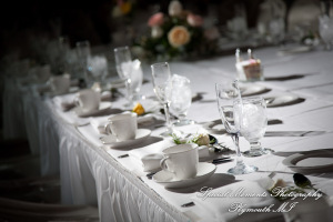 Joshua & Laura at The Detroit Yacht Club Detroit MI wedding photography