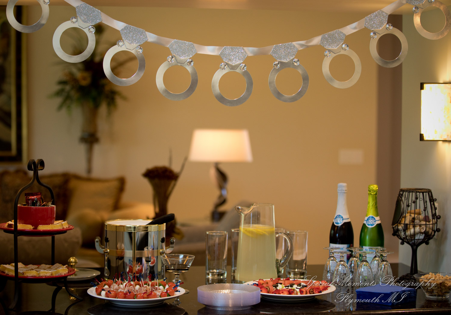 Wellers East Garden Saline MI wedding photograph