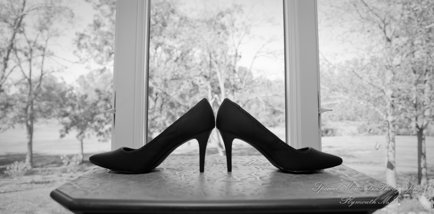 Wellers East Garden Saline MI wedding photograph