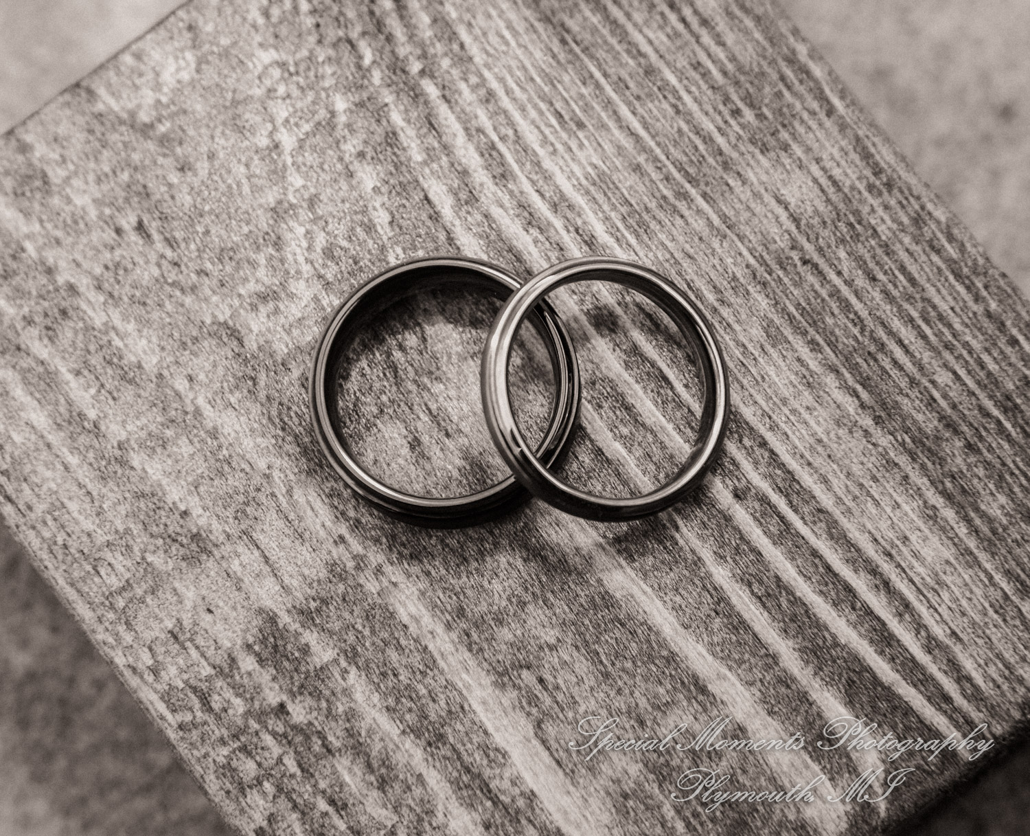 Kevin & Anthony at Northville Hills Golf Club Northville MI wedding photography