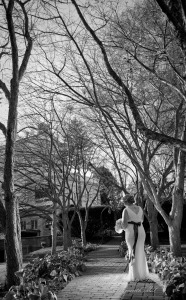 Wellers East Garden Saline MI wedding photograph