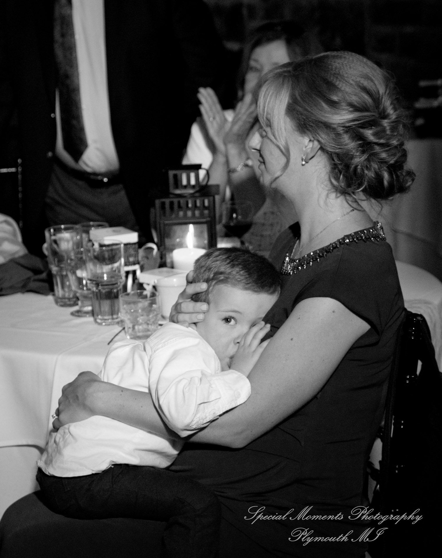 Wellers Raisin River Room Saline MI wedding photograph