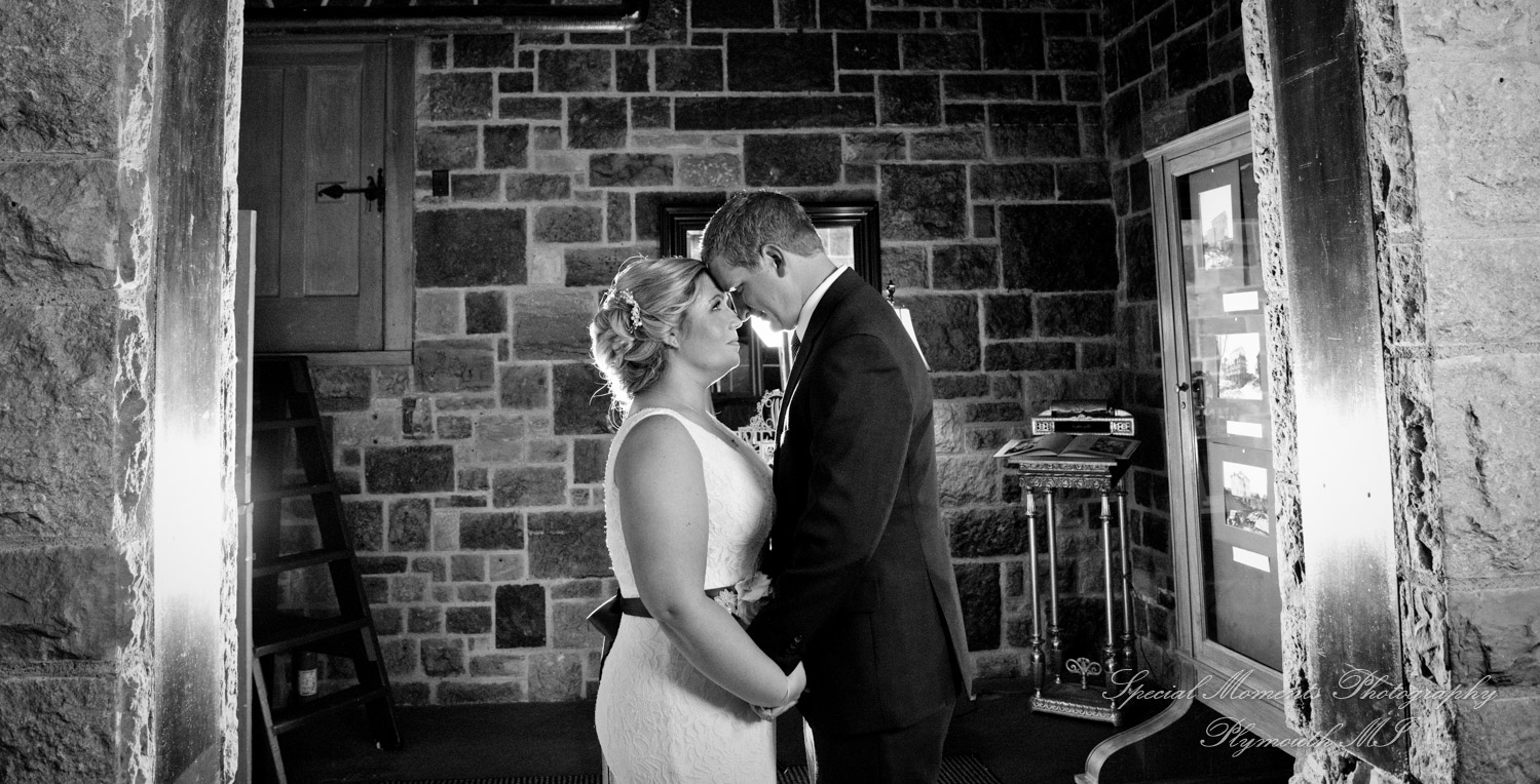 Wellers Raisin River Room Saline MI wedding photograph