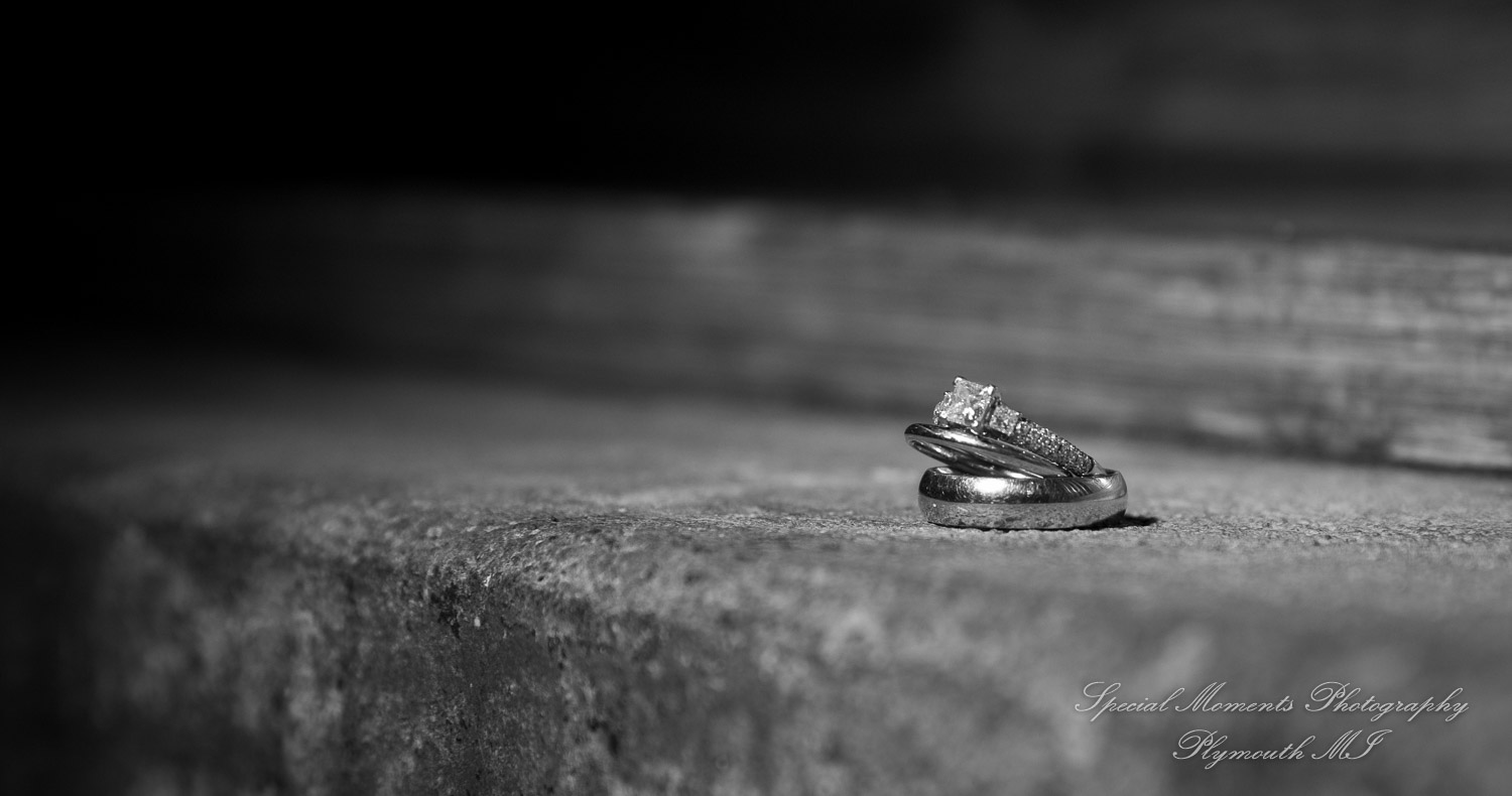 Wellers Raisin River Room Saline MI wedding photograph