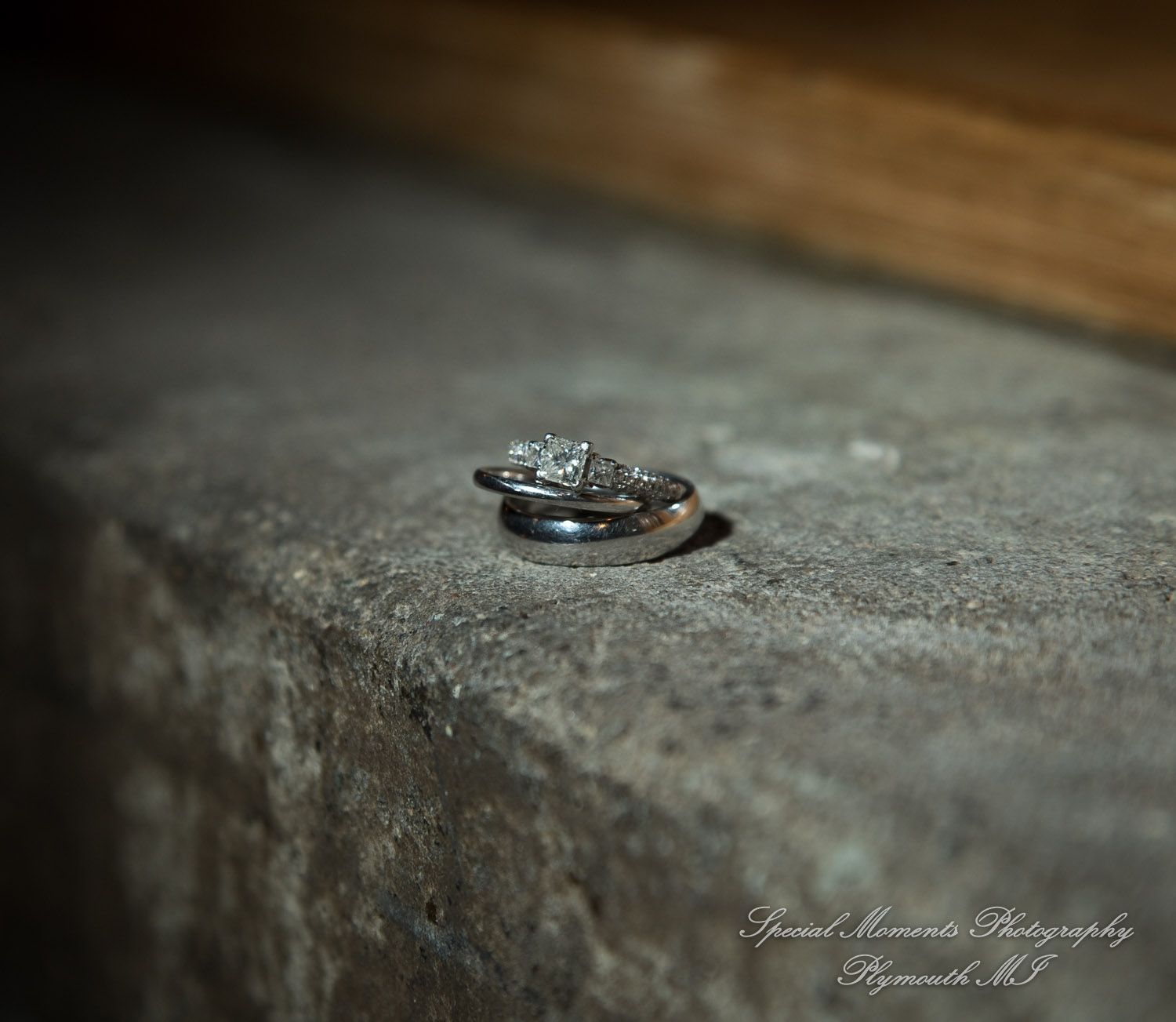 Wellers Raisin River Room Saline MI wedding photograph