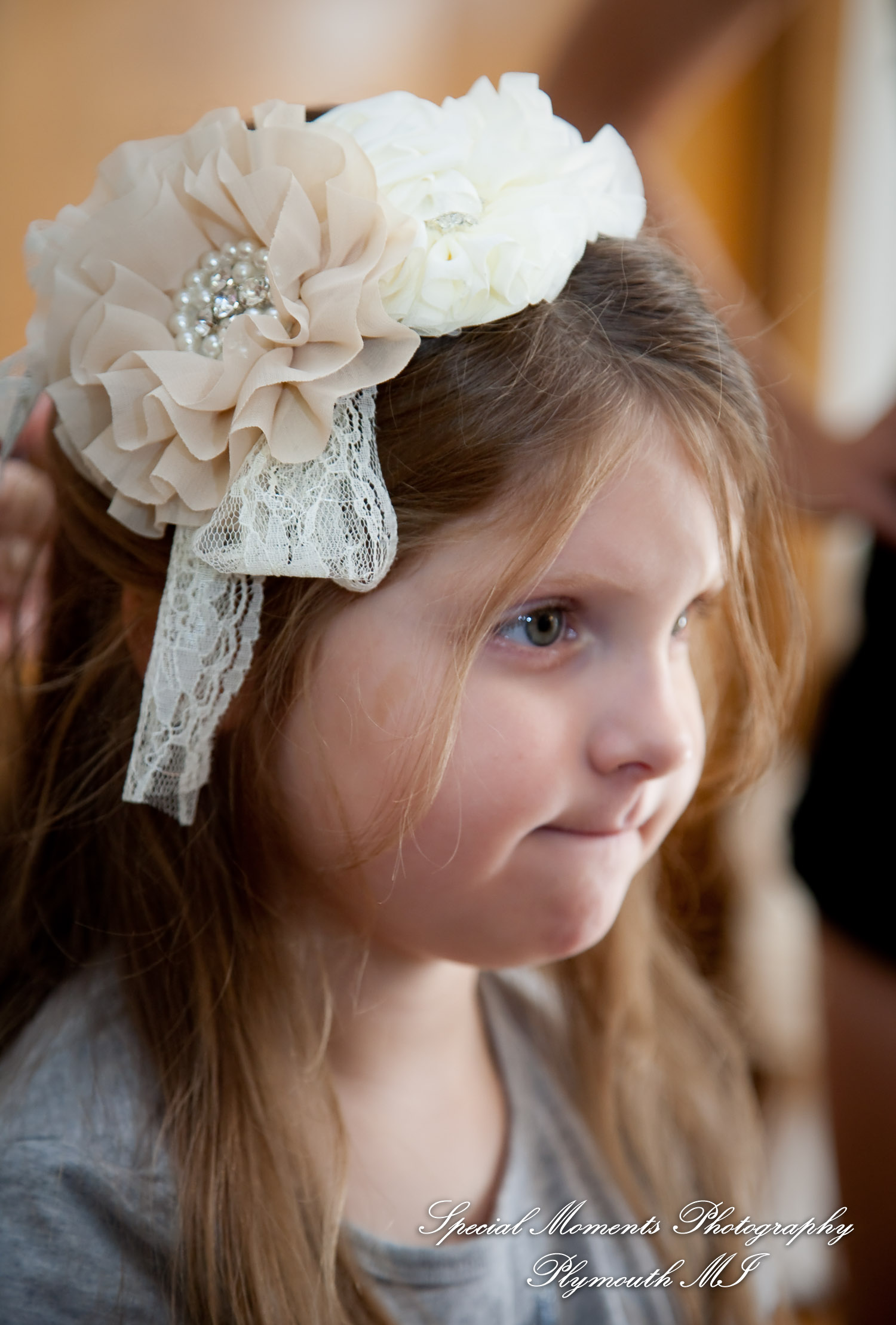 Crysta & Brian at Wellers Saline MI Raisin River Room wedding photography