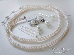 Crysta & Brian at Wellers Saline MI Raisin River Room wedding photography