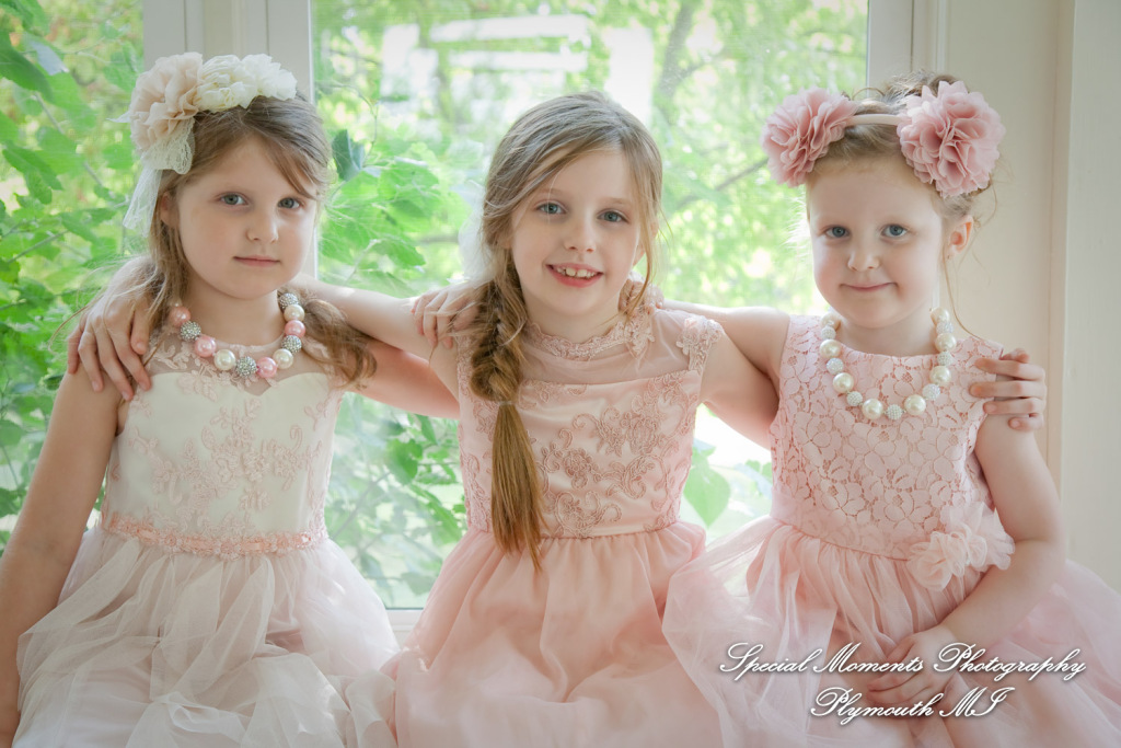 Crysta & Brian at Wellers Saline MI Raisin River Room wedding photography