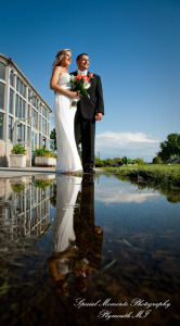 Jennifer & Eric at Belle Isle Conservatory Detroit MI wedding photography