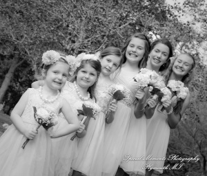 Crysta & Brian at Wellers Saline MI Raisin River Room wedding photography