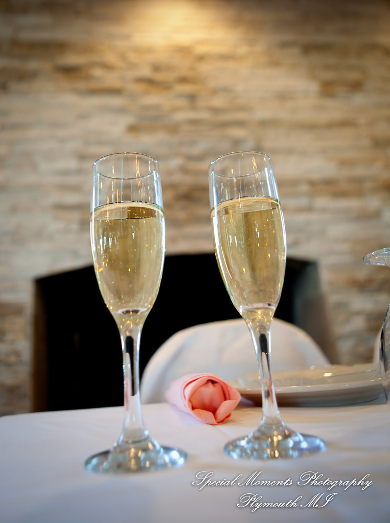 Jennifer & Eric at One Under Banquet Hall Livonia MI wedding photography