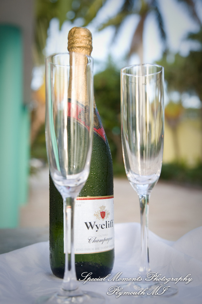 Alex & Nana at Reefhouse Resort & Marina Key Largo FL wedding photography