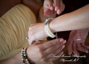 Derrick & Natasha at Cherry Creek Golf Club Shelby Twp. MI wedding photography