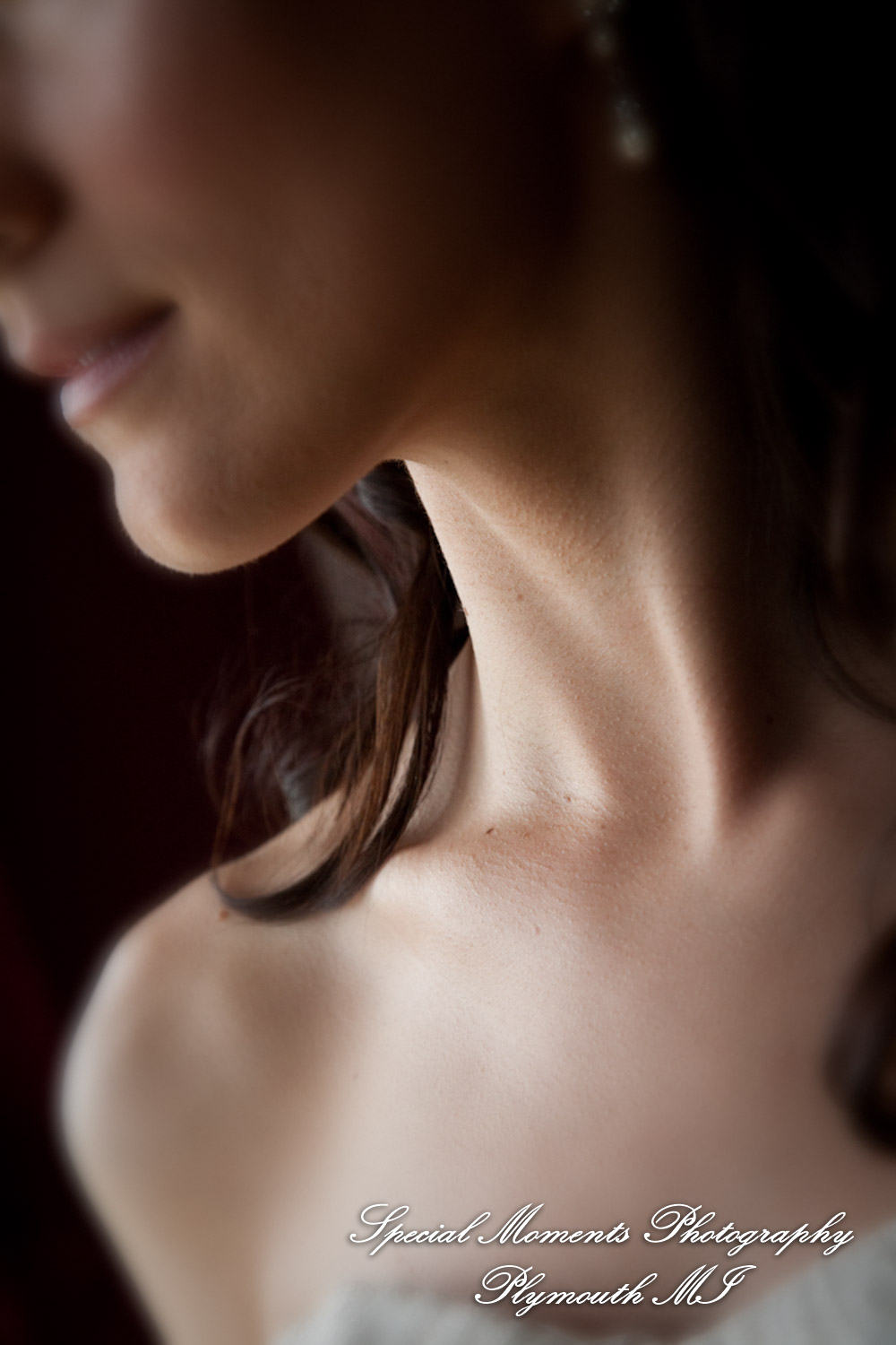 Derrick & Natasha at Cherry Creek Golf Club Shelby Twp. MI wedding photography