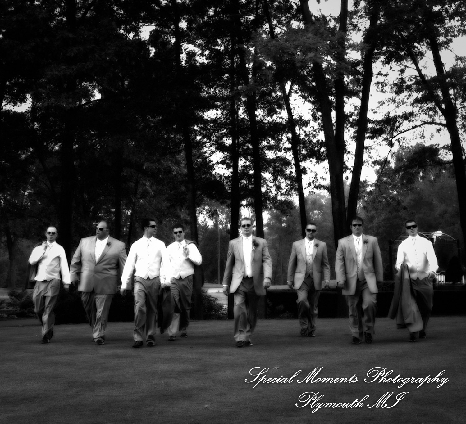 Derrick & Natasha at Cherry Creek Golf Club Shelby Twp. MI wedding photography