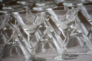 Derrick & Natasha at Cherry Creek Golf Club Shelby Twp. MI wedding photography