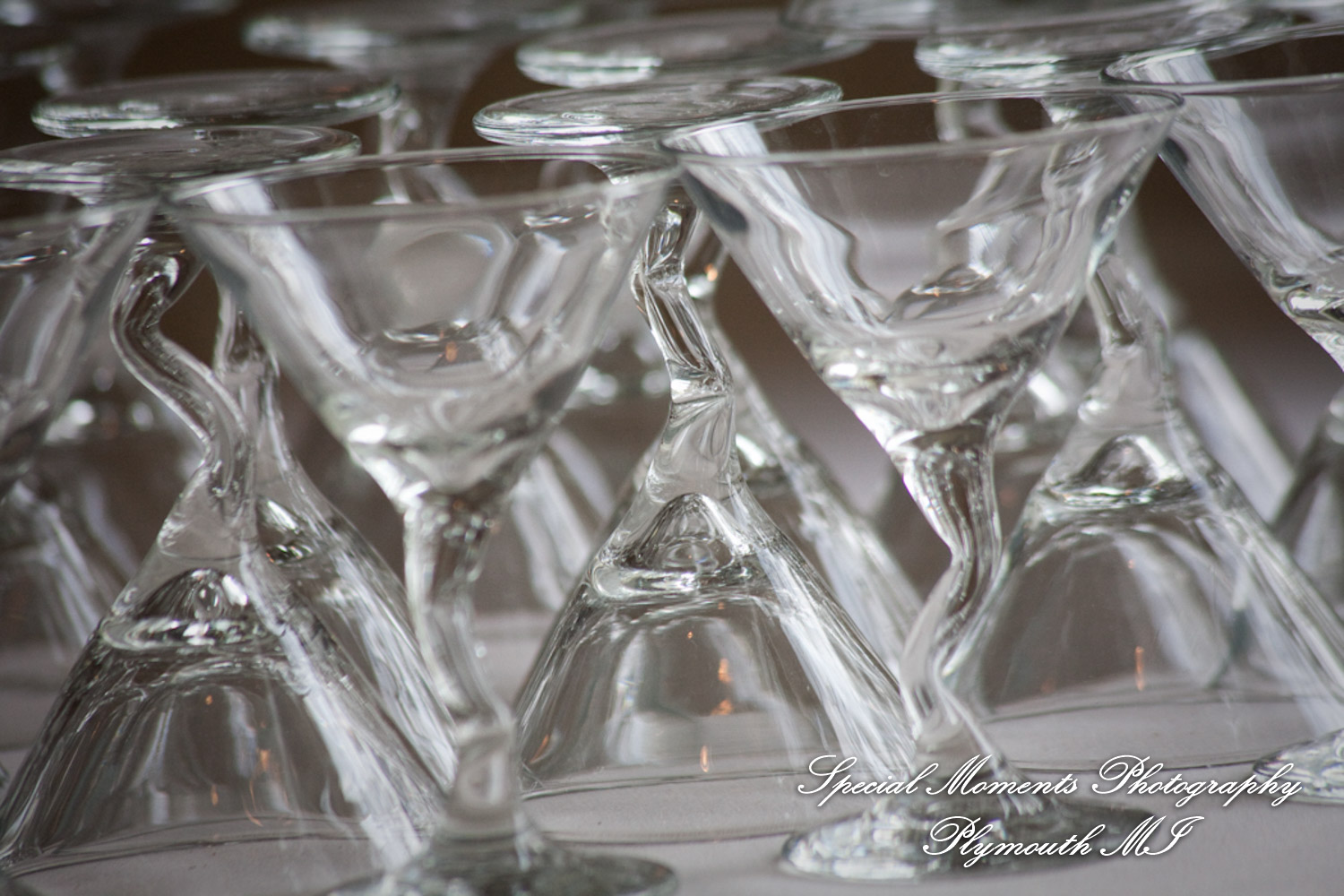 Derrick & Natasha at Cherry Creek Golf Club Shelby Twp. MI wedding photography