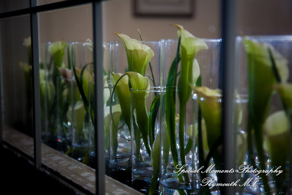 Derrick & Natasha at Cherry Creek Golf Club Shelby Twp. MI wedding photography