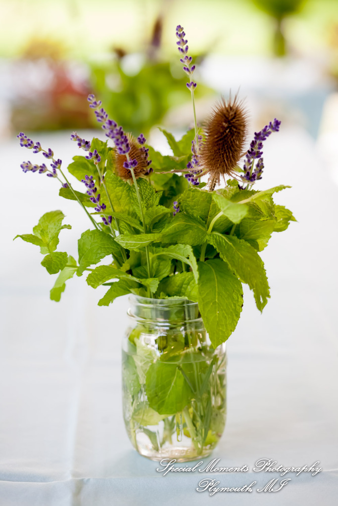 Sydney & John at Ford Field Park Bridge Dearborn MI wedding photography