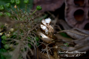 Sydney & John at Ford Field Park Bridge Dearborn MI wedding photography