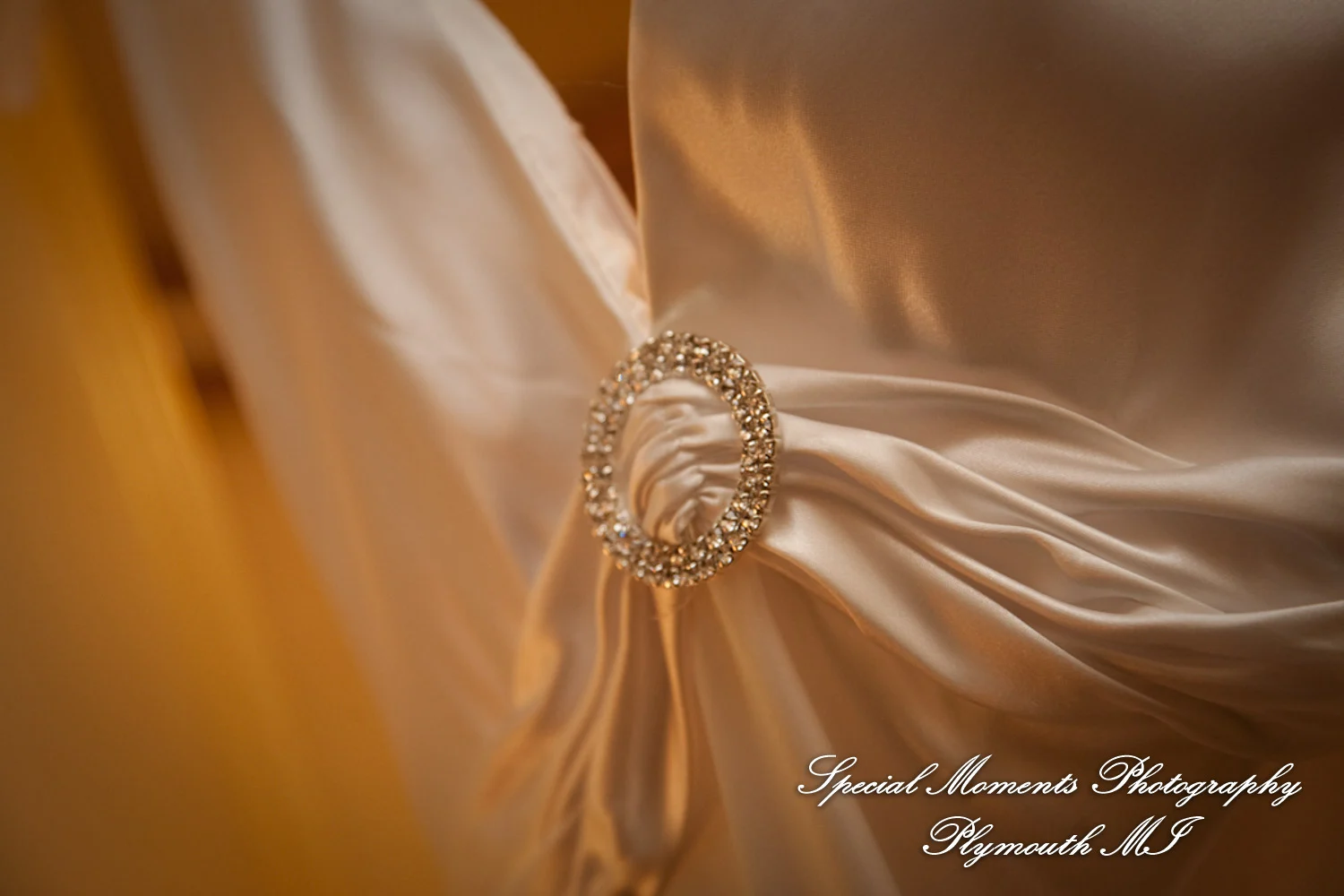 Taste of History Dearborn MI wedding photograph