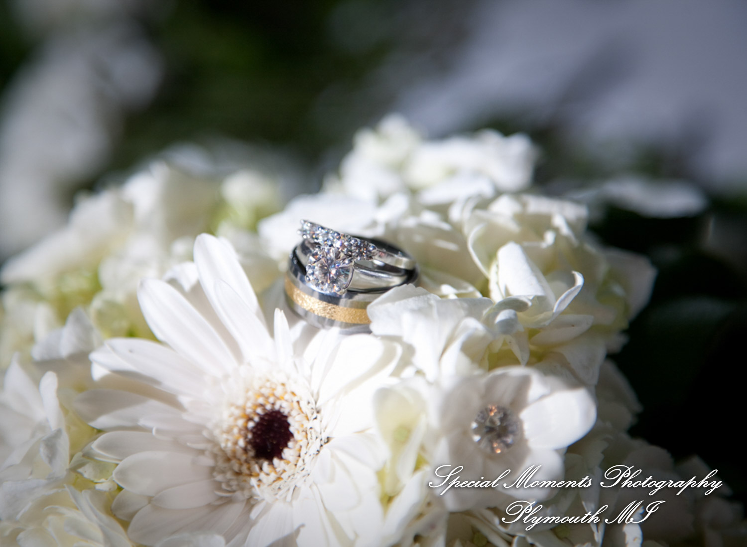 Chris & Shanyn at Taste of History Greenfield Village Dearborn MI wedding photograph