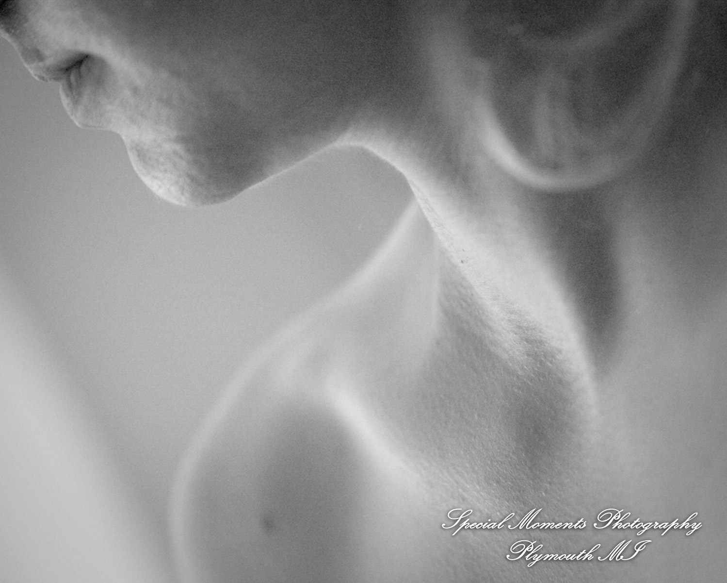 Michael & Genevieve at St. Paul on the lake Grosse Pointe Farms wedding photography