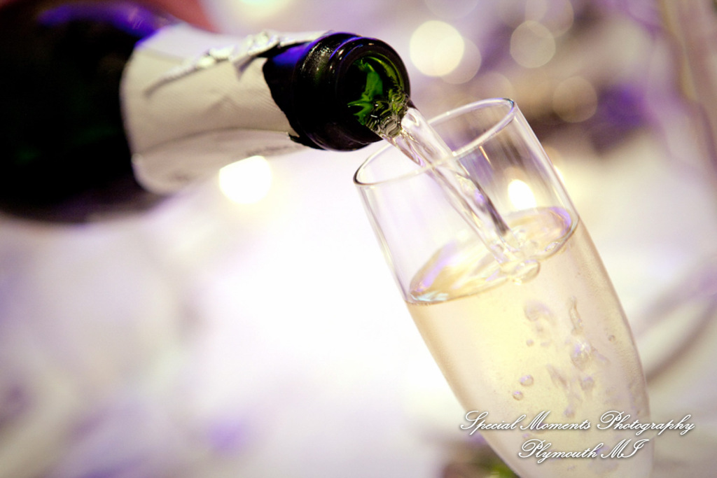 Michael & Genevieve at The Reserve Birmingham MI wedding photography