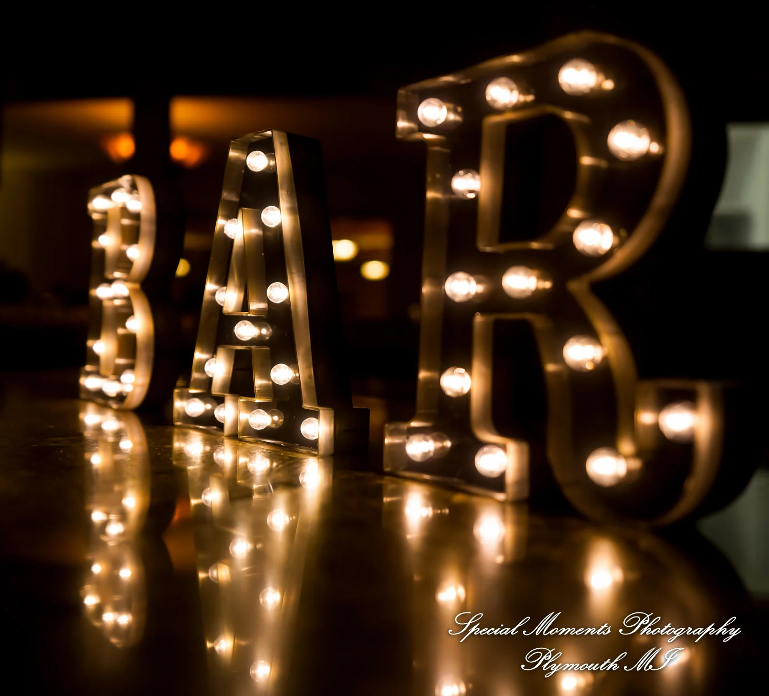 Masonic Temple Detroit MI wedding photograph