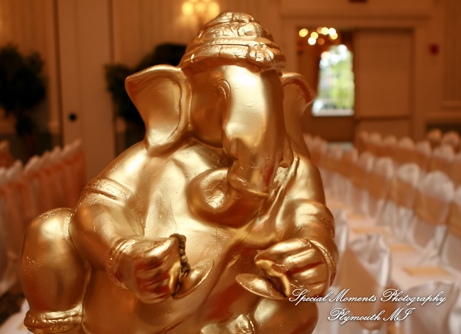 Manali & Chetan at The Dearborn Inn Hindu wedding photography First Half of the day