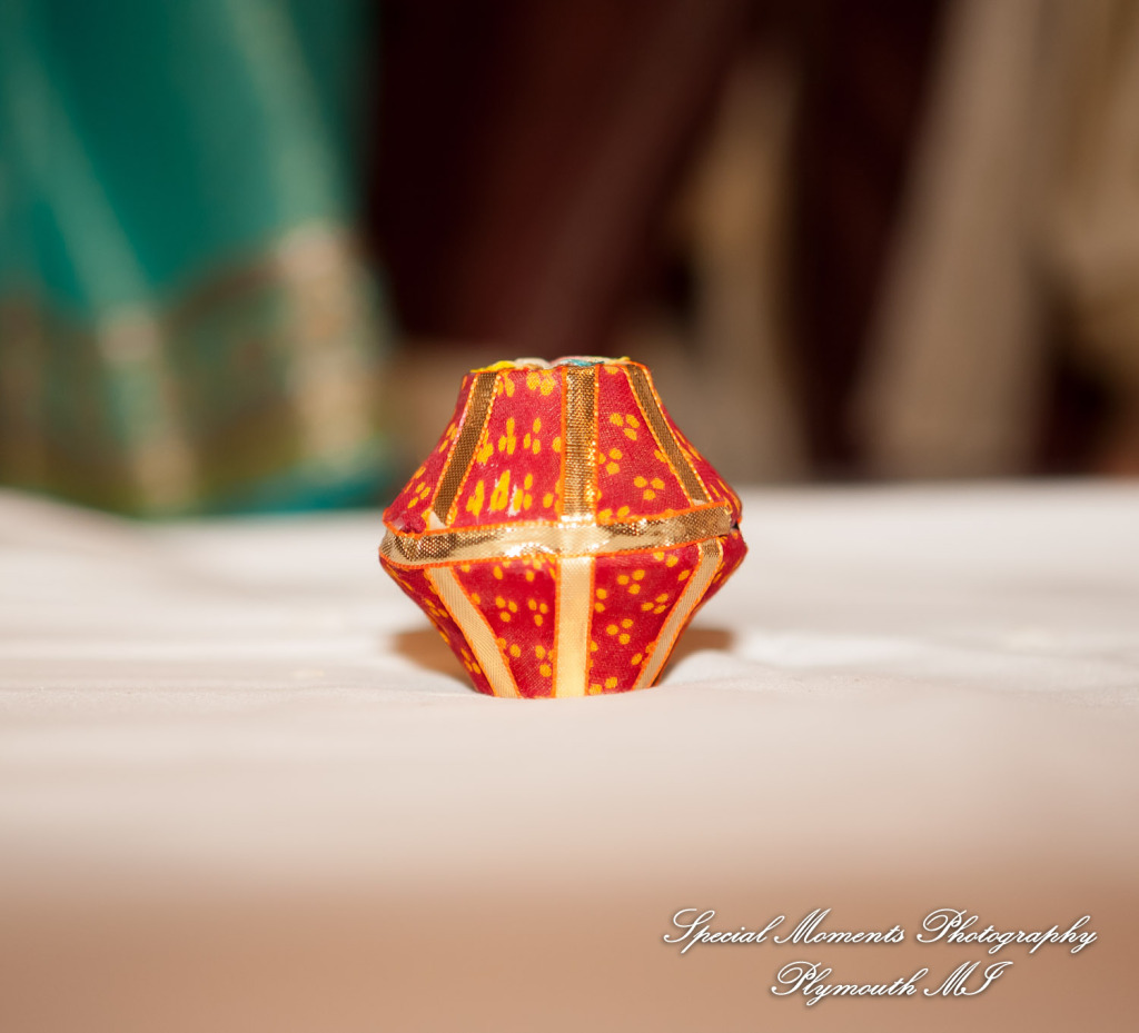 Manali & Chetan at The Dearborn Inn Hindu wedding photography First Half of the day