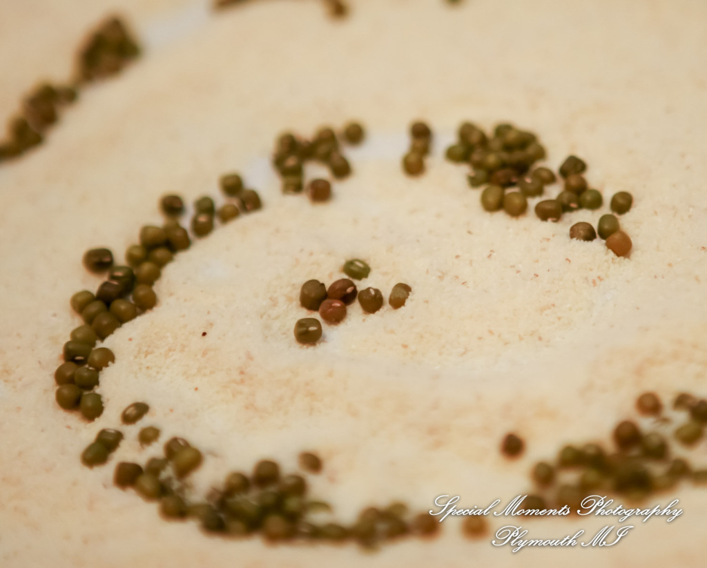 Manali & Chetan at The Dearborn Inn Hindu wedding photography First Half of the day