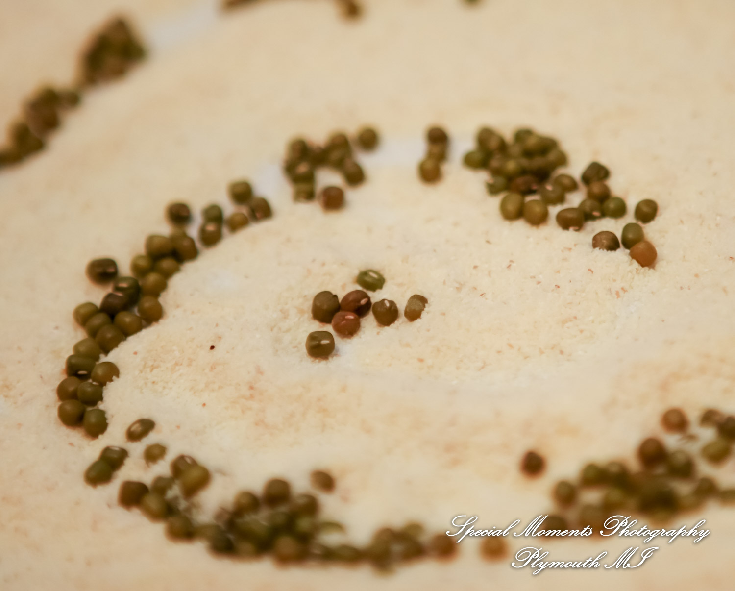 Manali & Chetan at The Dearborn Inn Hindu wedding photography First Half of the day