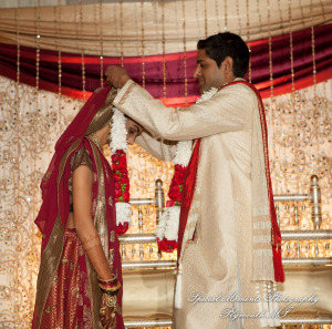 Manali & Chetan at The Dearborn Inn Hindu wedding photography First Half of the day