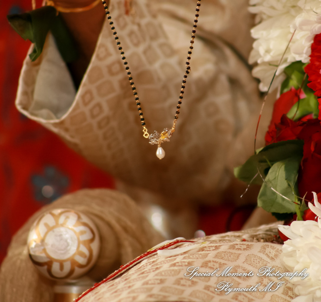 Manali & Chetan at The Dearborn Inn Hindu wedding photography First Half of the day