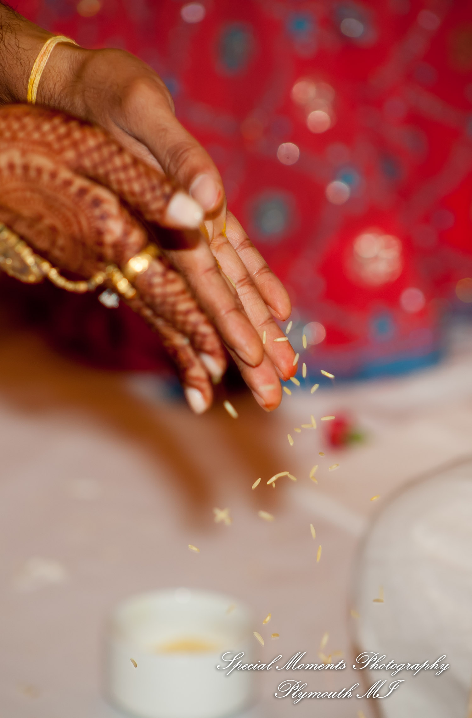 Manali & Chetan at The Dearborn Inn Hindu wedding photography First Half of the day