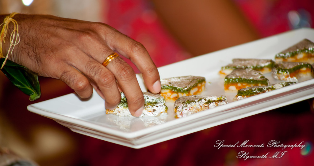 Manali & Chetan at The Dearborn Inn Hindu wedding photography First Half of the day