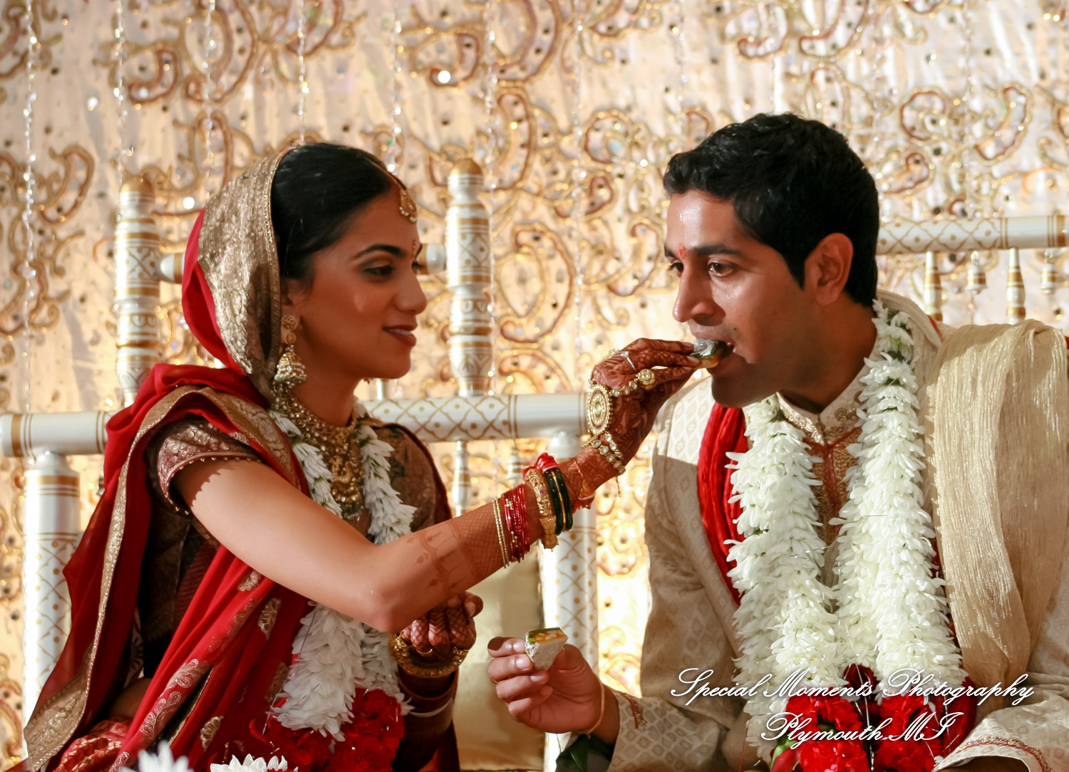 Manali & Chetan at The Dearborn Inn Hindu wedding photography First Half of the day