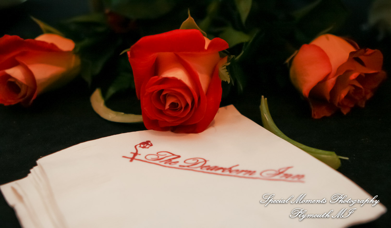 Manali & Chetan at The Dearborn Inn Hindu wedding photography SECOND Half of the day