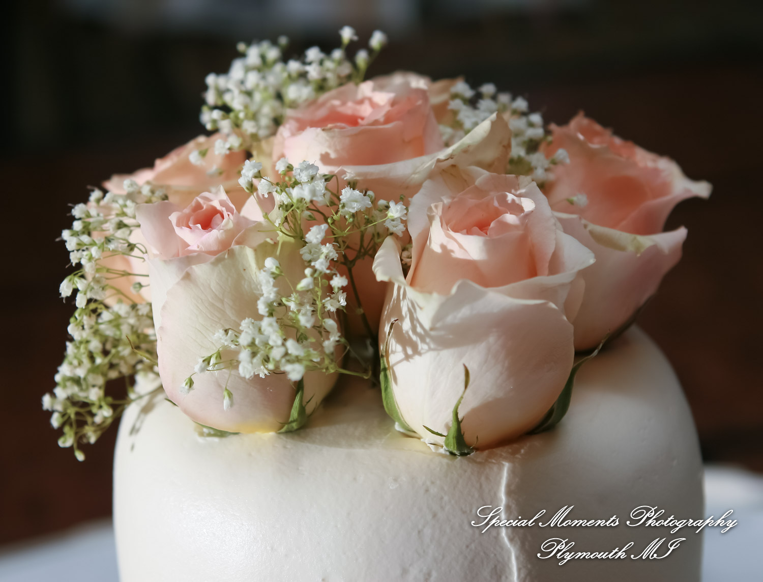 Manali & Chetan at The Dearborn Inn Hindu wedding photography SECOND Half of the day