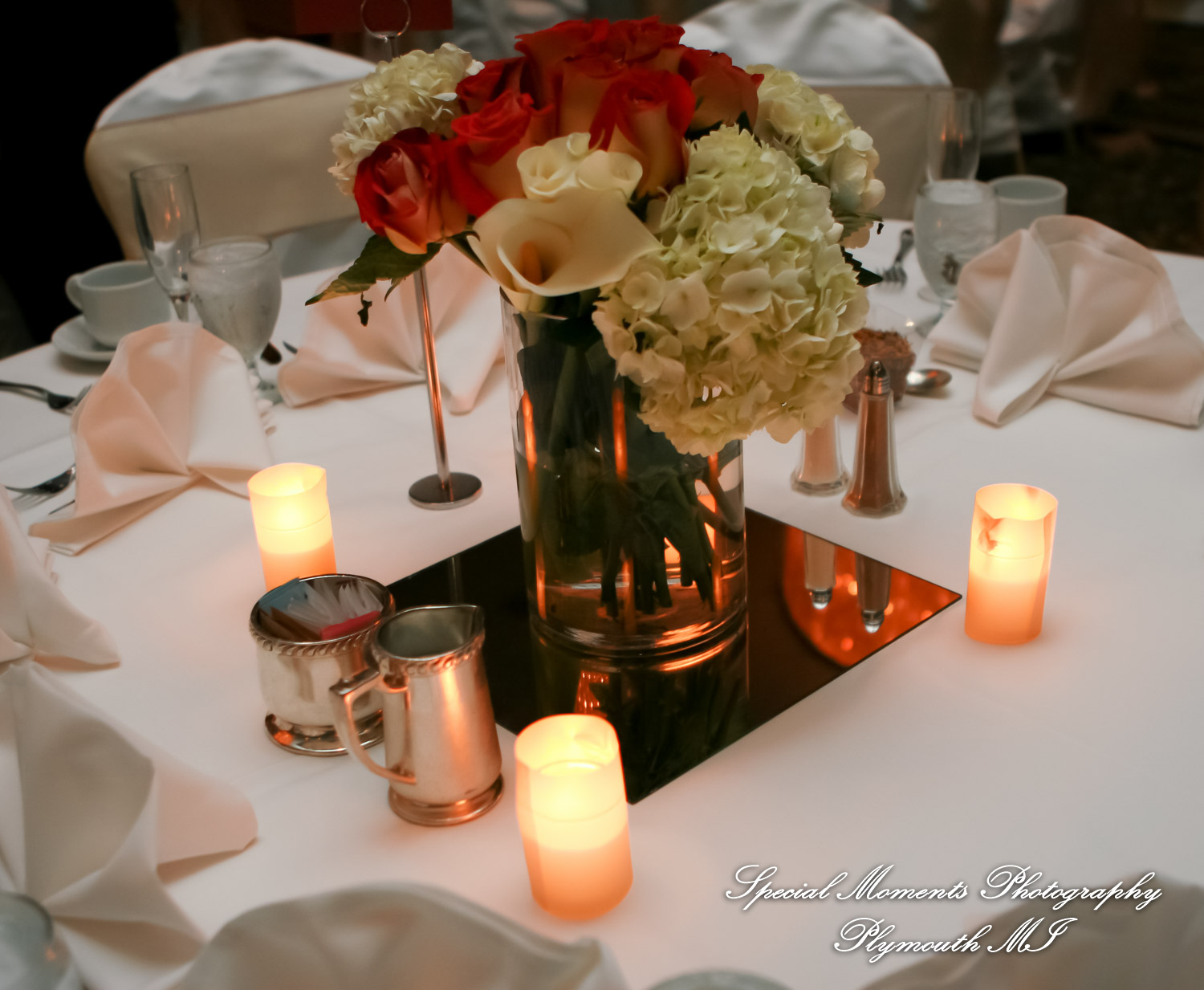 Manali & Chetan at The Dearborn Inn Hindu wedding photography SECOND Half of the day