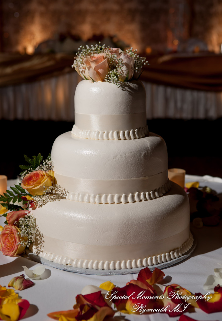 Manali & Chetan at The Dearborn Inn Hindu wedding photography SECOND Half of the day