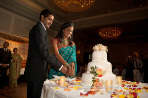 Manali & Chetan at The Dearborn Inn Hindu wedding photography SECOND Half of the day