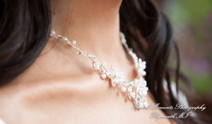 Katherine & Dave at Blossom Heath Inn St. Clair Shores MI wedding photography