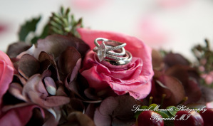 Katherine & Dave at Blossom Heath Inn St. Clair Shores MI wedding photography